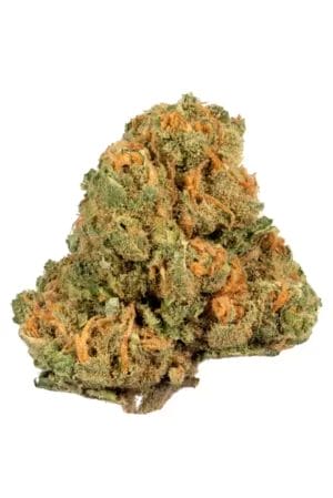 Jack Herer Weed Strain | Jack Herer Strain Weed | JH Weed Strain