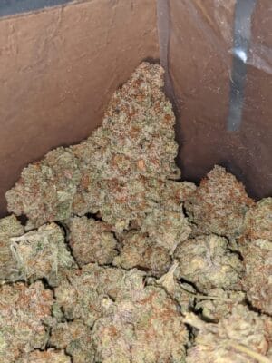 Chemdawg Hemp | Chemdawg Bud | Buy chemdawg Weed Online